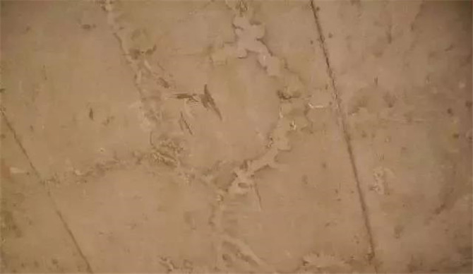 部分樓層，現(xiàn)澆混凝土樓板裂縫現(xiàn)象嚴(yán)重